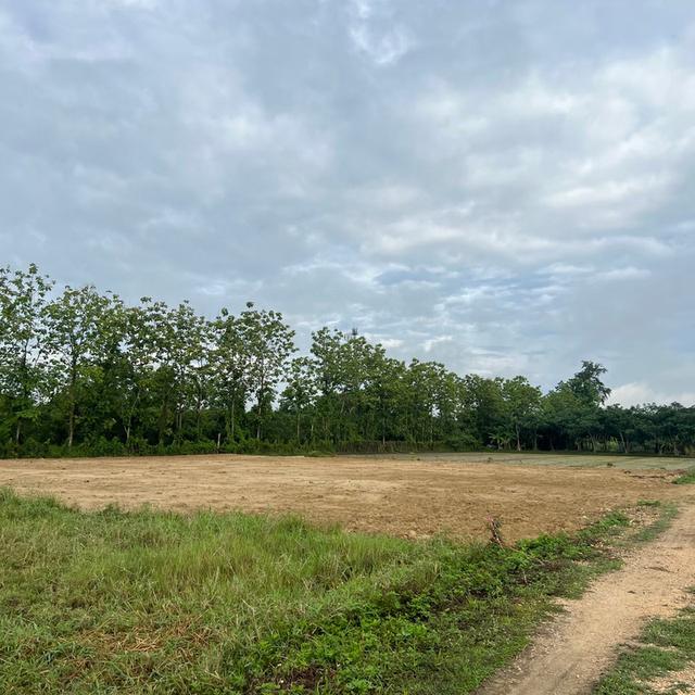 ที่ดิน เจ้าของขายเอง ปี 2569 12