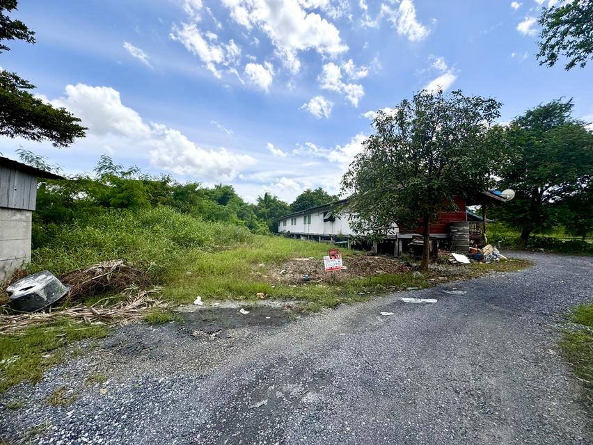 ขายที่ดินซอยลาดกระบัง3 ขนาด 371 ตร.วา (ถนนประชาทร) วิวลำธาร (N.1380) 4