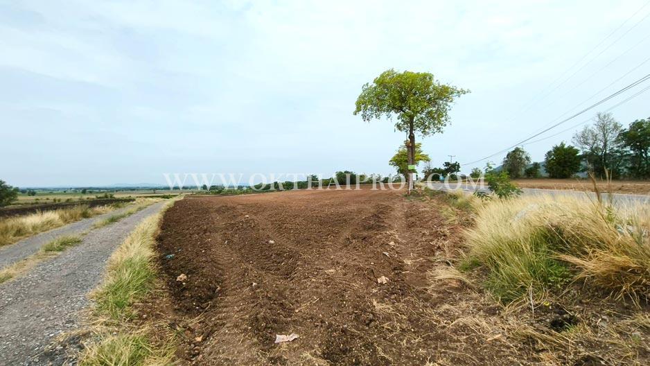 ที่ดินติดถนน ต.ดอนดึง อ.บ้านหมี่ จ.ลพบุรี 6