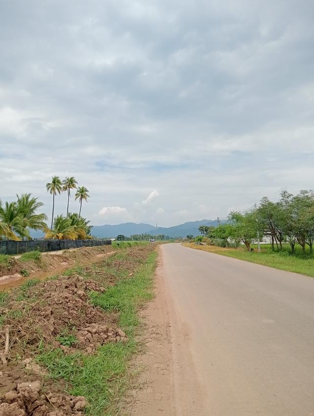 บ้านพร้อมที่ดิน 2 ไร่ 2 งาน 17 ตรว. 14