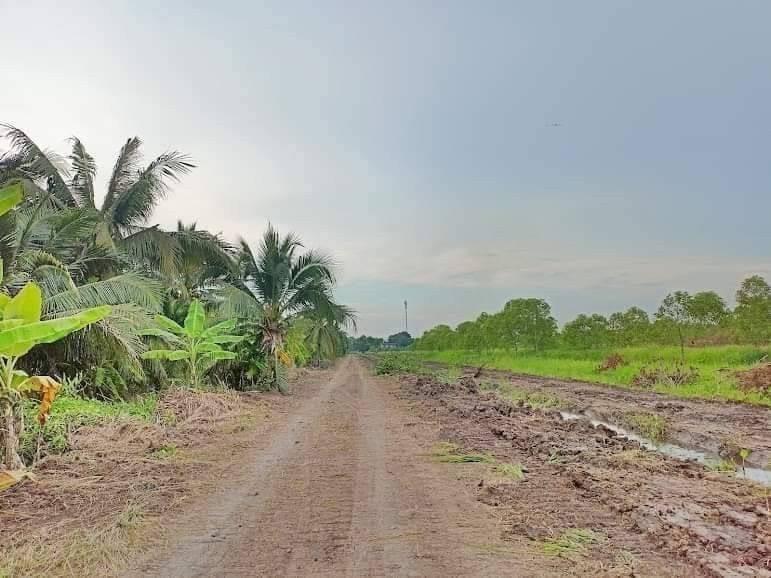 ที่ดินเงินผ่อน ไม่มีดอกเบี้ย คลอง 11 ปทุมธานี 4