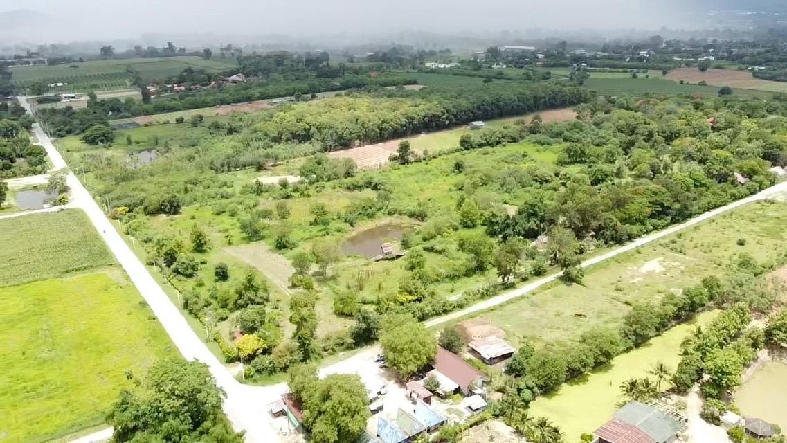 ขายที่ดินปากช่อง ขนงพระใต้