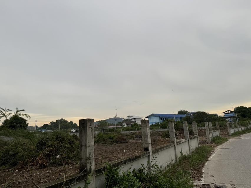 ที่ดินชลบุรี 4