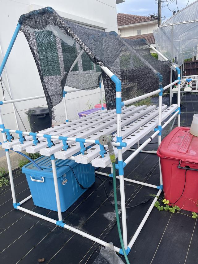 แปลงผักไฮโดร โต๊ะปลูกผัก