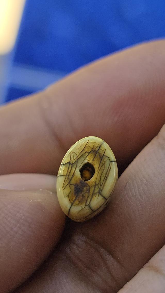 เสือแกะหลวงพ่อปาน วัดคลองด่าน