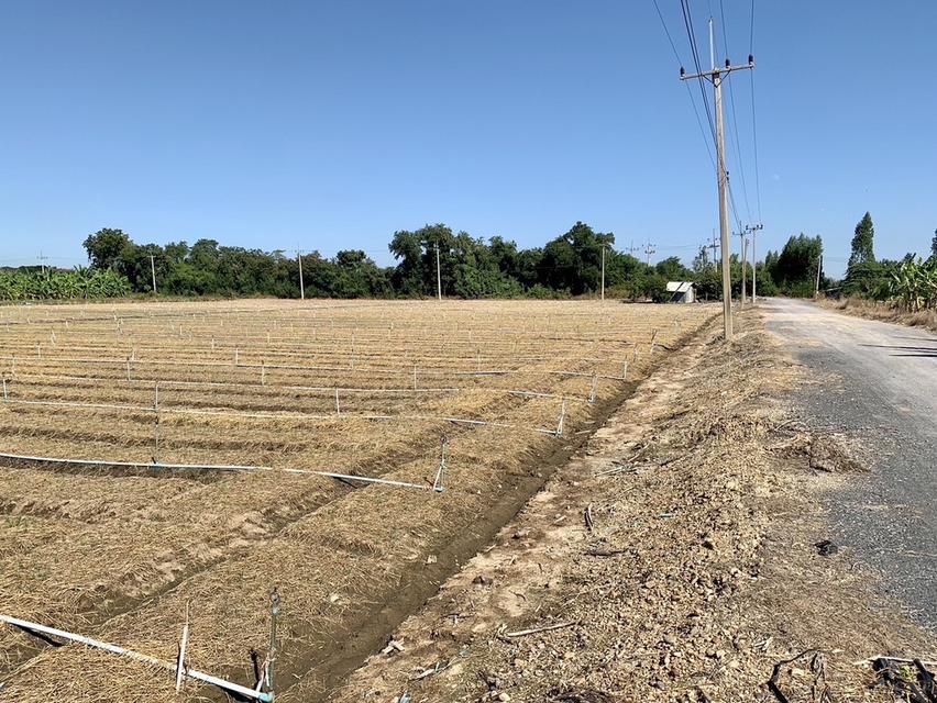 ขายที่ดินสวย10ไร่ โฉนดครุฑแดงพร้อมโอน ใกล้เทศบาลวังศาลา เข้าออกได้หลายทาง ติดถนนสาธารณะ วิวสวย บรรยากาศดี