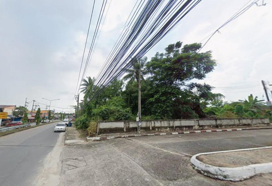 โอกาสทอง! ที่ดินแปลงสวยใจกลางบ้านฉาง ระยอง ติดถนนเทศบาล 58 พื้นที่รวมกว่า 300 ตร.วา 2