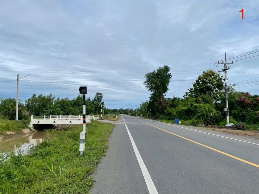 ขายด่วนที่ดินแปลงสวย 10 ไร่ 6