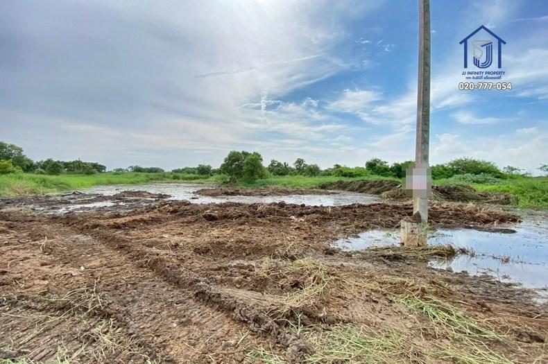 ที่ดินถมแล้ว 2 ไร่  ถนนรังสิต-นครนายก คลองสิบ ธัญบุรี ใกล้ทางด่วนวงแหวนฯ ฝั่งเหนือ 6