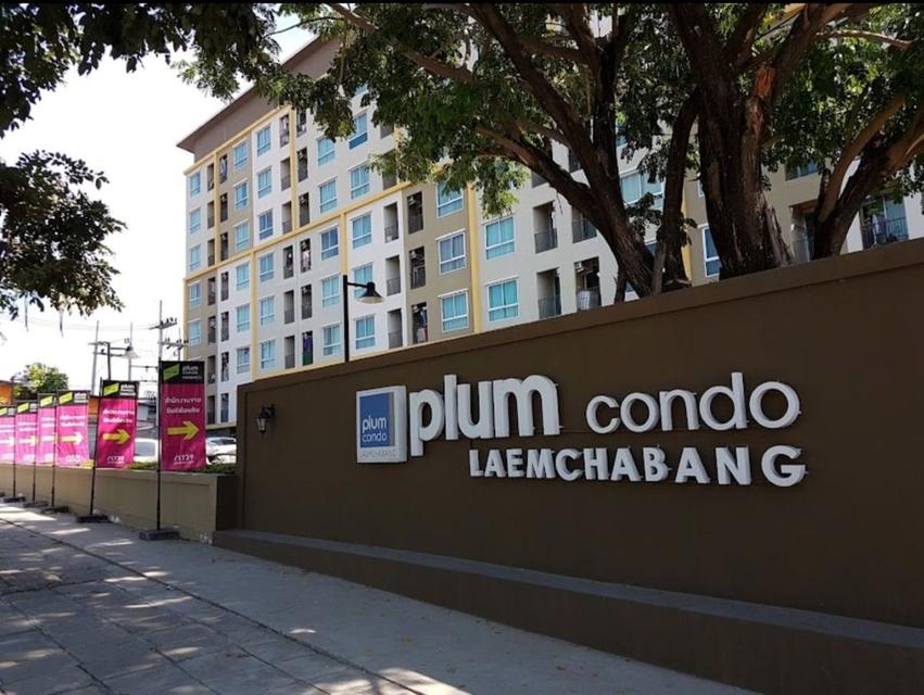 ขายราคาพิเศษ Plum คอนโดกลางเมือง แหลมฉบัง ทำเลดีที่สุด การเดินทางสะดวกสบาย 1