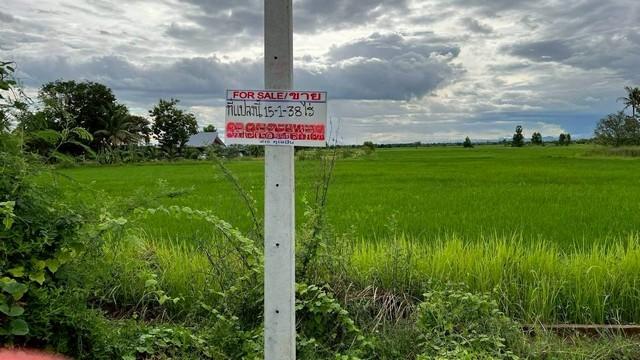 ขายที่ดินแปลงสวย 15 ไร่ 1 งาน 37.7 ตารางวา ติดถนนโยธาธิการ ตำบลหนองจอก อำเภอท่ายาง จังหวัดเพชรบุรี 3