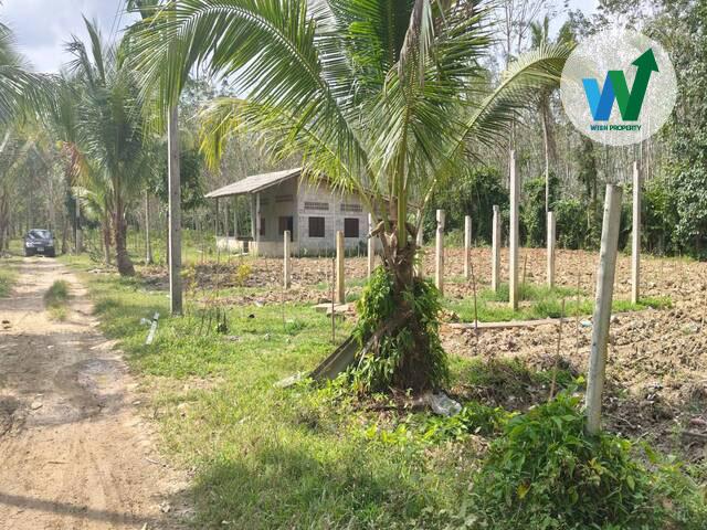 ประกาศขาย ที่ดินด่วนในพัทลุง 6