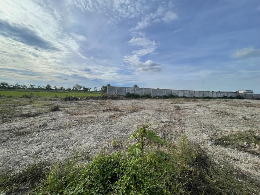 โครงการมังกรทอง แฟคทอรี่ เปิดใหม่ติดถนนใหญ่340 4