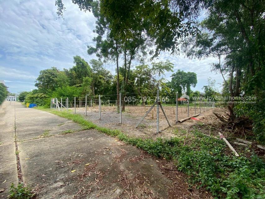 ขายที่ดิน หมู่บ้านเลคการ์เด้นวิลล์ รังสิต คลอง3 ธัญบุรี รังสิต-นครนายก68 พื้นที่ 155 ตรว ด้านหลังติดเลค ใกล้ฟิวเจอร์พาร์ค รังสิต 5