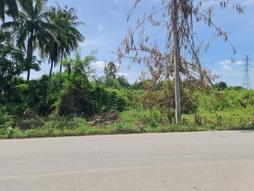 ที่ดินติดถนน ขายด่วน! 7 ไร่ 57 ตรว. อ.บ้านโป่ง ราชบุรี | เจ้าของขายเอง  3