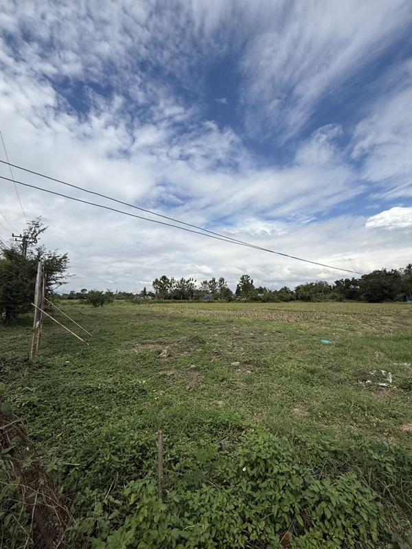 แบ่งขายที่ดิน 14 แปลง ขนาด 75-122 ตารางวา ตั้งอยู่ที่ ตำบลแม่ปูคา อำเภอสันกำแพง จังหวัดเชียงใหม่ (เจ้าของขายเอง) โทร 0806169615 5