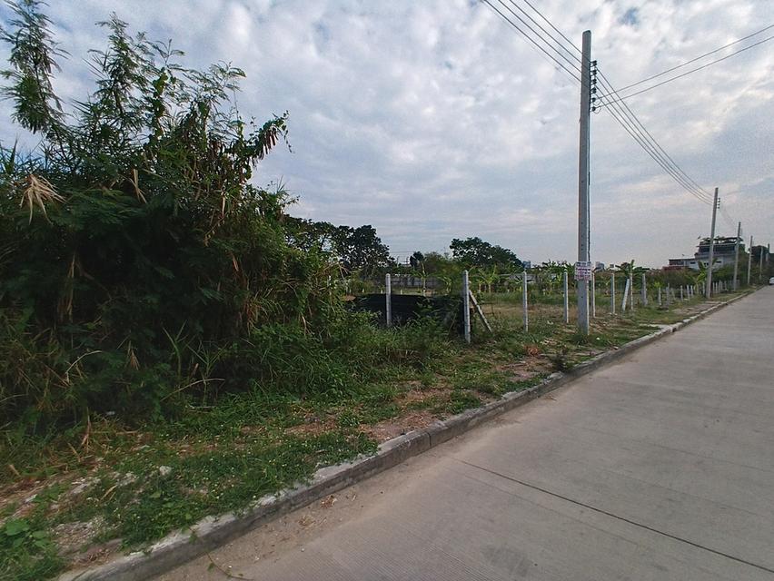 ที่ดิน 56.1 ตารางวา ถมแล้ว ซอยเฉลิมพระเกียรติ 39/2 ติดสวนหลวงร 9 เขตประเวศ กรุงเทพฯ 6