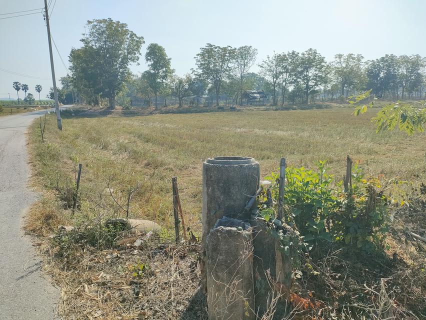 ขายที่ดินเกษตรด่วนจำนวน 6 ไร่ 3 งาน 84 ตารางวาน้ำไฟเข้าถึงอยู่ในเขตชุมชนหมู่บ้าน 6