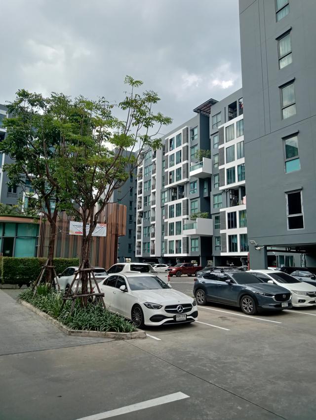 ให้เช่า Condo Living Nest Rahmkhamheang 11