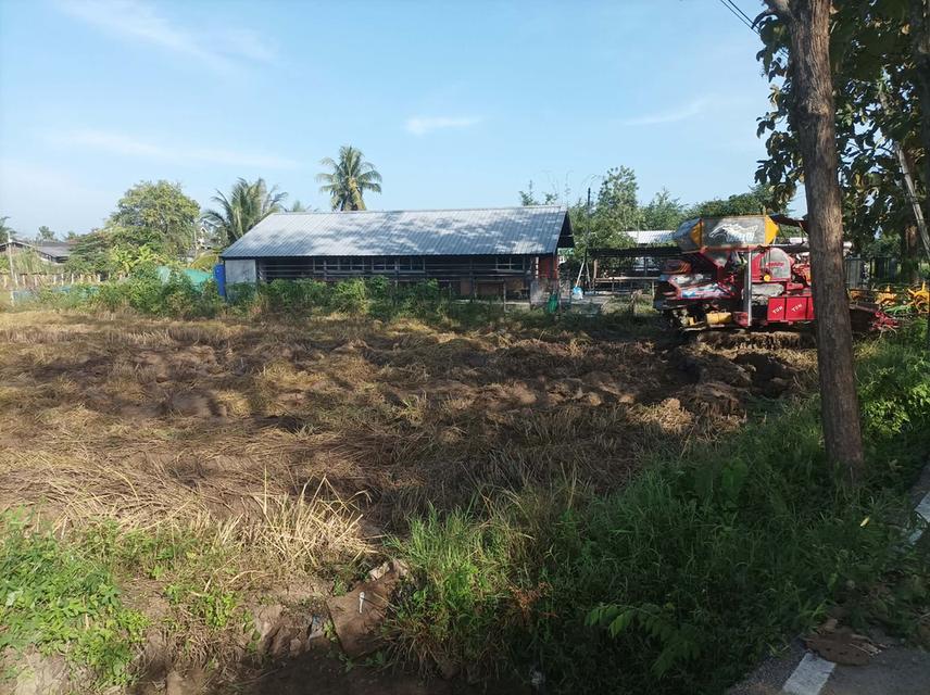 ขายที่ดิน1ไร่ ต.ป่าป้อง อ.ดอยสะเก็ด จ.เชียงใหม่ 4