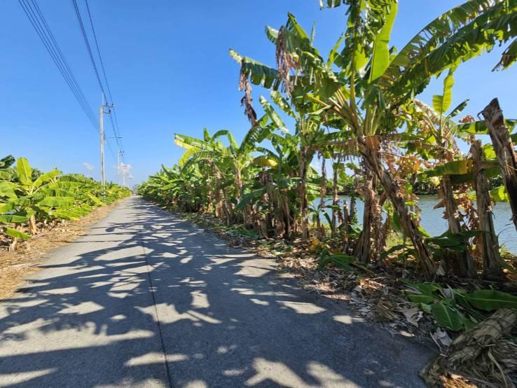 ขายที่ดิน 1 ไร่ ซอยวัดบัวโรย สมุทรปราการ 5