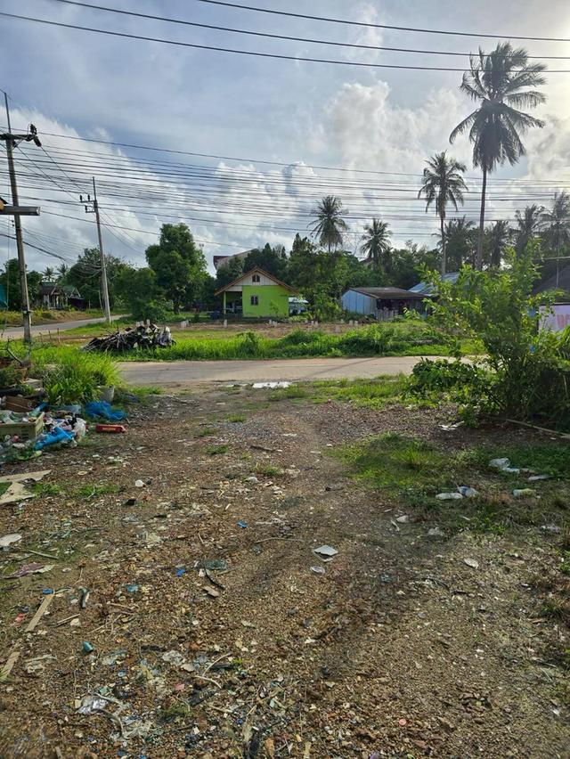 ที่ดินใกล้หาด บนเกาะลันตาใหญ่ เจ้าของขายเอง 4