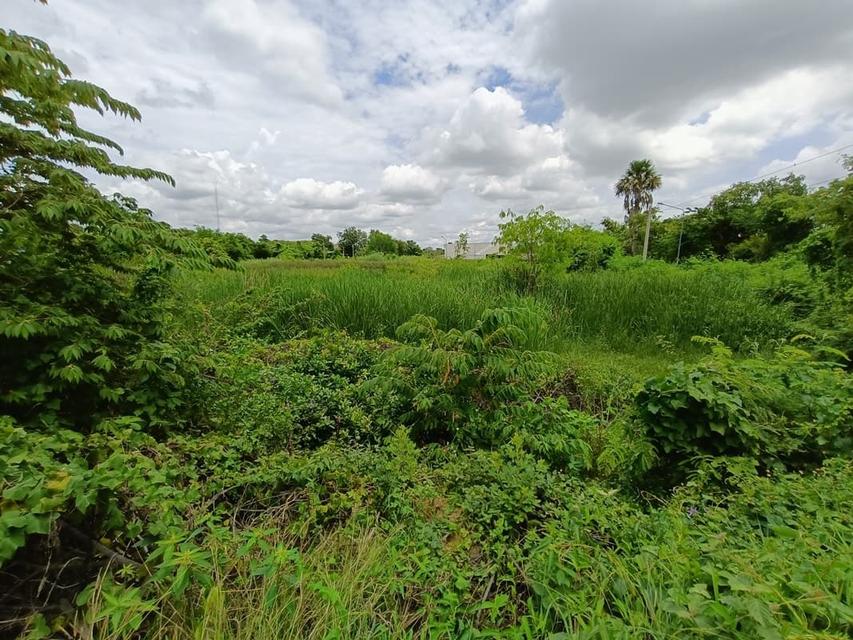 ที่ดินจังหวัดสุพรรณบุรี ทำเลใจกลางเมือง ราคาคุยกันก่อนได้ 2