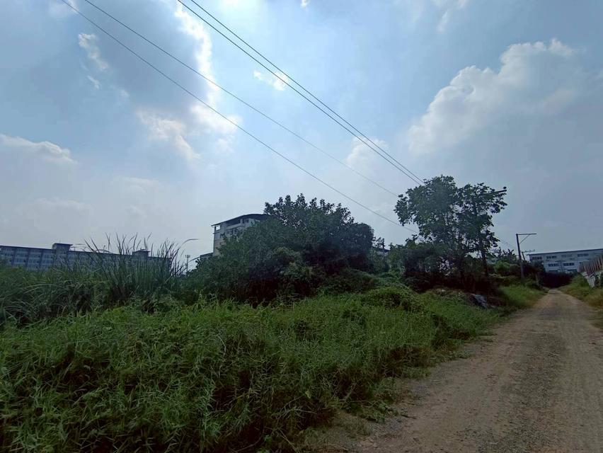 [ขายด่วน!] ที่ดินจัดสรรทำเลทอง คลอง 6 - ใกล้ มทร.ธัญบุรี ราคาพิเศษเพียง 690,000 บาท/แปลง (เฉลี่ยเพียง 6,900.-/ตร.ว. ถูกที่สุดในย่านนี้!) 11