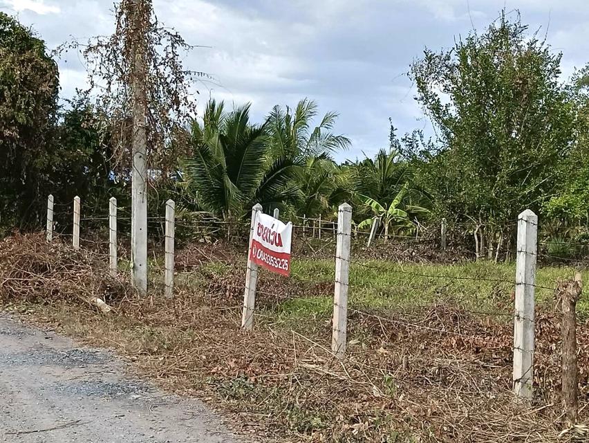 ที่ดินเปล่าเนื้อที่ขนาด1ไร่ 1