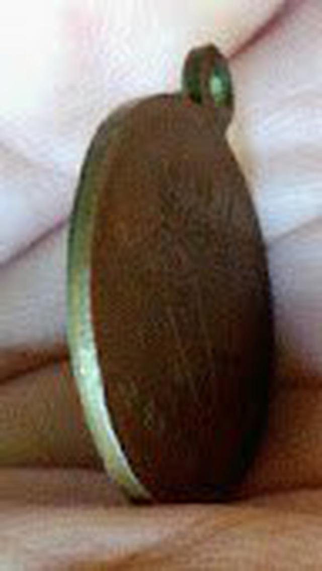 รูป เหรียญพระพุทธโสธรหลวงปู่ทิม 4