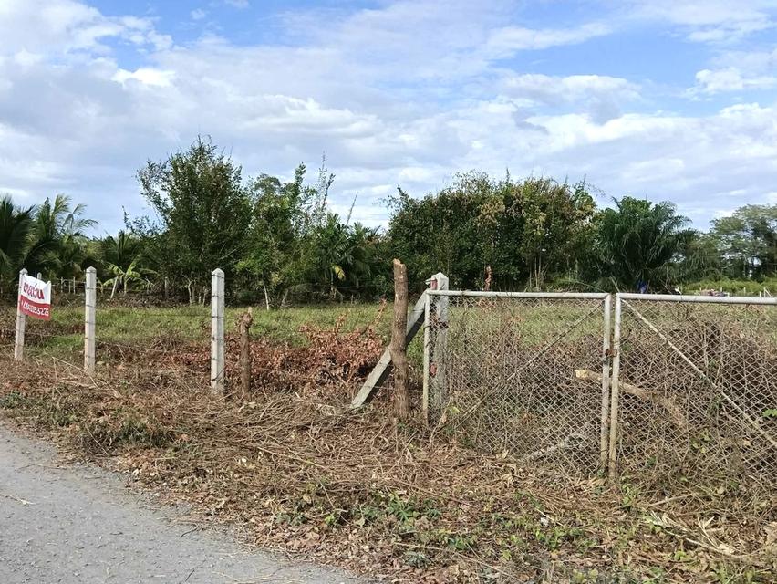 ที่ดินเปล่าเนื้อที่ขนาด1ไร่ 2