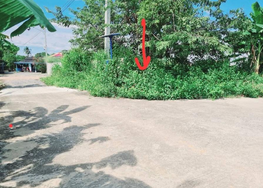 ขายที่ดินเปล่าชุมชนท่าม่วง จ.กาญจนบุรี 11