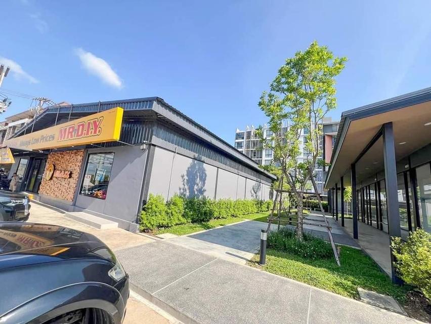 📣ขายด่วน📣✨ต้อนรับปีใหม่✨ 18