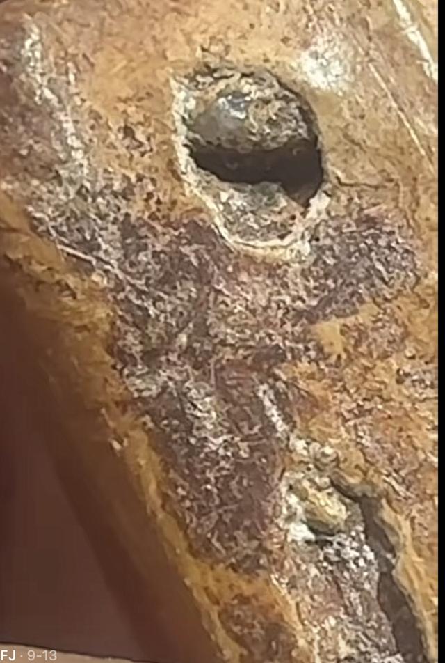 พระเครื่อง พระสมเด็จนางพญา 10