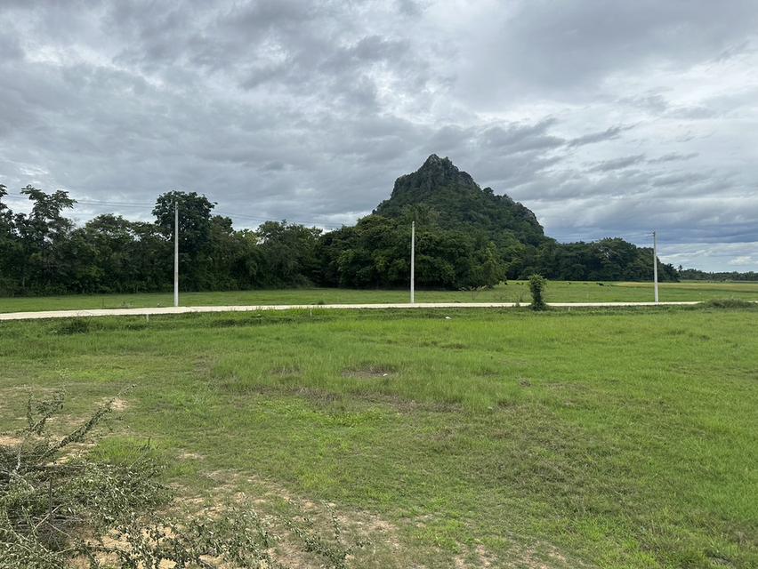 ที่ดิน ท่ายาง จ.เพชรบุรี 14