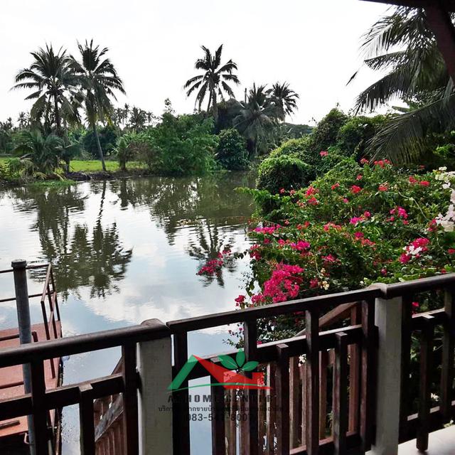 ขายบ้านทรงไทยประยุกต์ริมน้ำ ขนาด1-0-42ไร่ ซ.หอมเกร็ด18 สามพราน ใกล้ตลาดดอนหวาย 13
