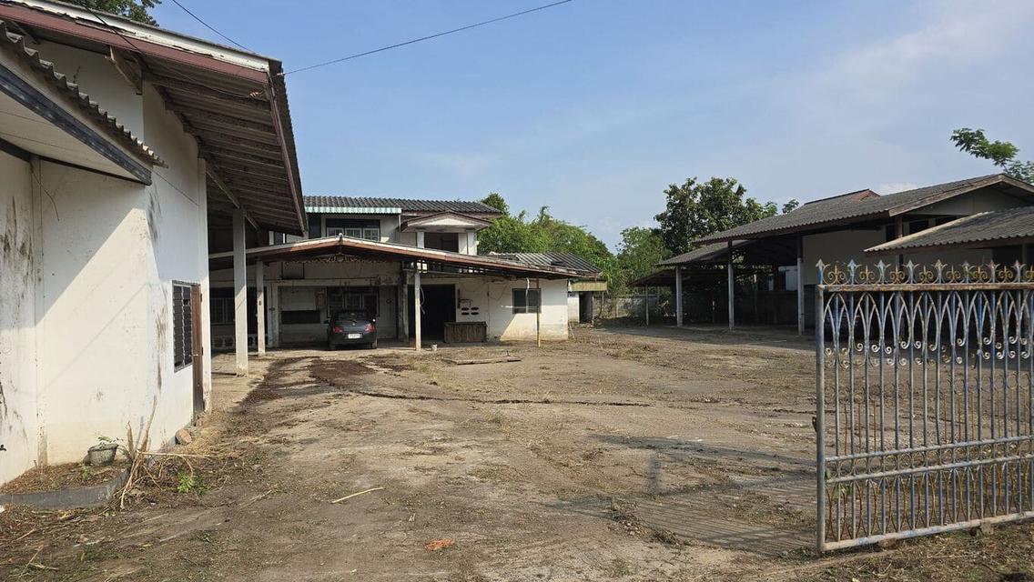 ขายที่ดินและบ้าน อำเภอเมืองชัยนาท จังหวัดชัยนาท