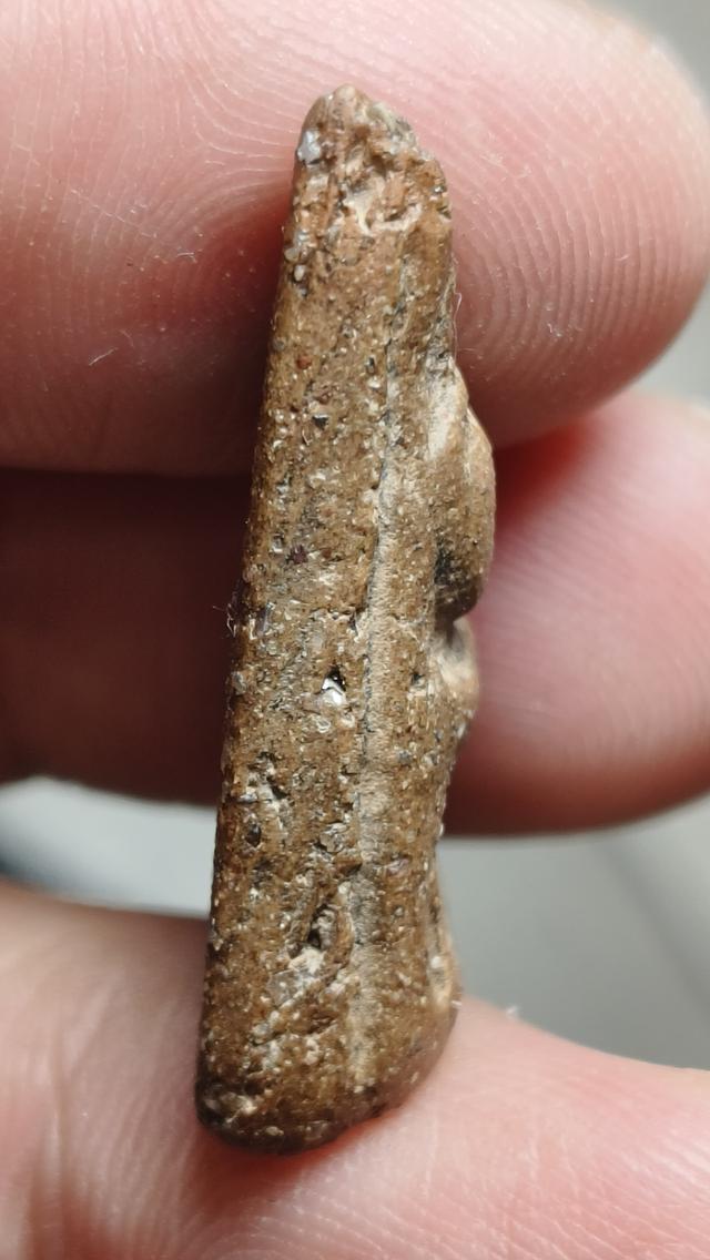 พระนางพญาพิมพ์เล็กเนื้อสวยมวลสารชัดเจน 7