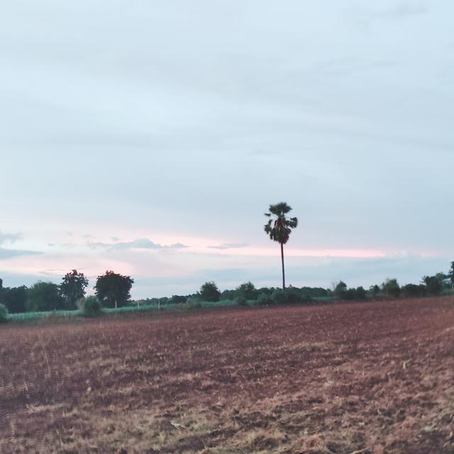 ที่ดินลพบุรีติดถนน ห่างถนนพหลโยธินเพียง 500 เมตร 6