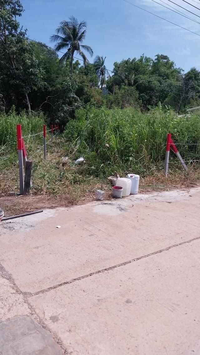 ขายที่ดินบางเสร่ 1 ไร่ ติดถนนคอนกรีตใกล้วิวเขาใกล้ตลาดแยกเจ(ถนนเส้นสุขุมวิท3)7กม. อ.สัตหีบ จ.ชลบุรี