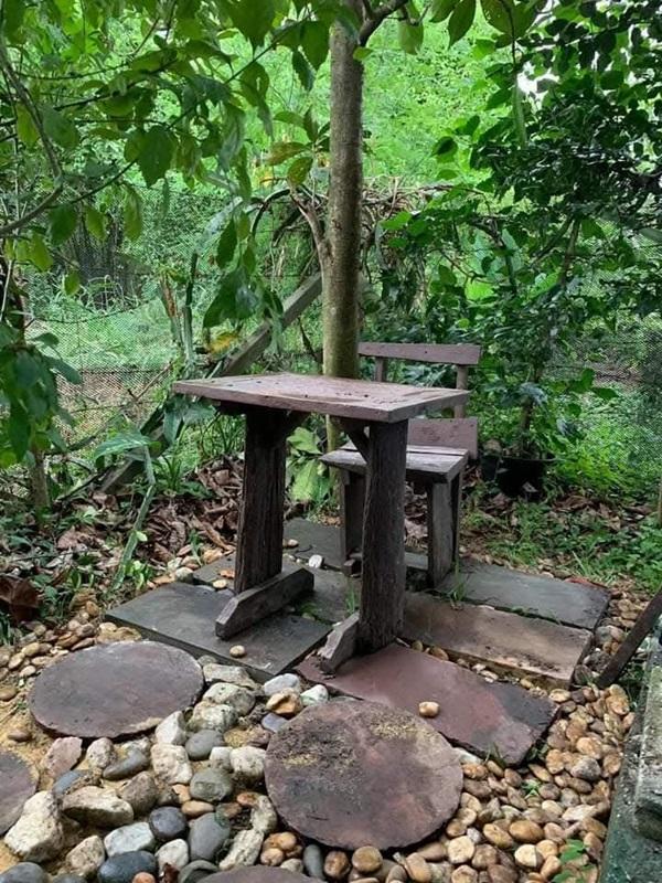 ขายบ้านสวน ไทรน้อย นนทบุรี 2.35 ลบ (ลดจาก 2.65 ลบ) พร้อมไม้ดอกผลไม้ อยู่ซอยแสนสบาย มีวิวทุ่งนา โทร 085-2619111 13