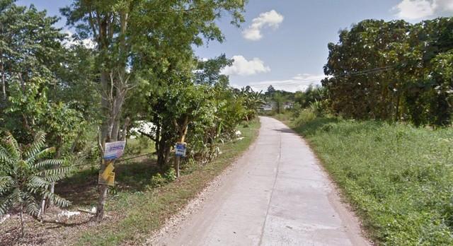 ที่ดิน ที่ดิน เขาค้อ เพชรบูรณ์ 1232 ตร.วา ไม่ไกลจาก ห่างจาก 3 แยกทุ่งสมอ 1.4 กม. ออกแบบลงตัว