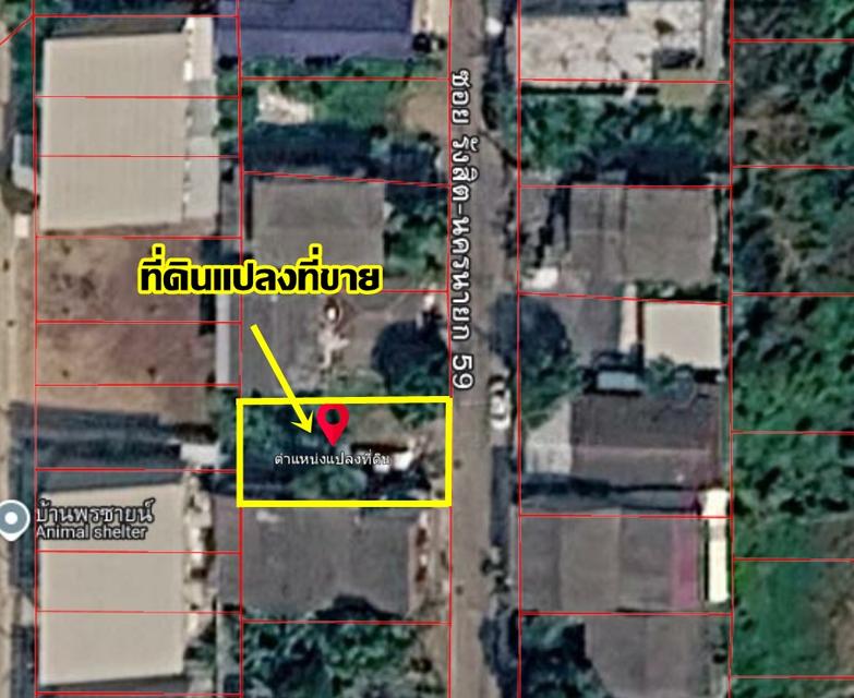 ขายที่ดินเปล่า ซอยรังสิต-นครนายก59 คลอง2 4