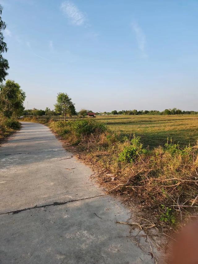 ที่ดิน เปล่า 12 ไร่ ราคา 1,680,000 3