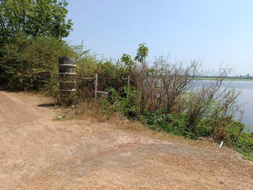 ที่ดิน 12 ไร่ อ.เมือง พิษณุโลก 7