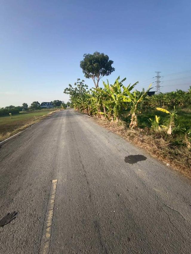 ขายถูกที่ดิน 150 ตรว ติดถนนสาธารณะ ซ.บ้านคลองฝรั่ง ไทรน้อย นนทบุรี 5