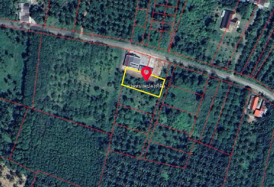 ที่ดินเปล่าประจวบคีรีขันธ์ ตำบลบางสะพาน อำเภอบางสะพานน้อย ที่ดินเงียบสงบ เนื้อที่ 1 ไร่ 3