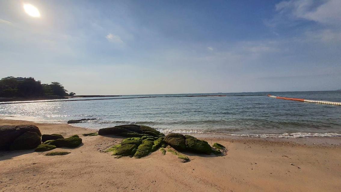ขายคอนโดพัทยา BEACHFRONT ️️วิวทะเลติดหาดส่วนตัว 2ห้องนอน 2ห้องน้ำ โครงการ The Sanctuary Wong Amat 3