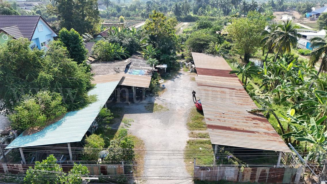 ที่ดิน 1 ไร่ ซอย สุคนธวิท 29 กระทุ่มแบน - สมุทรสาคร ราคาถูก 8