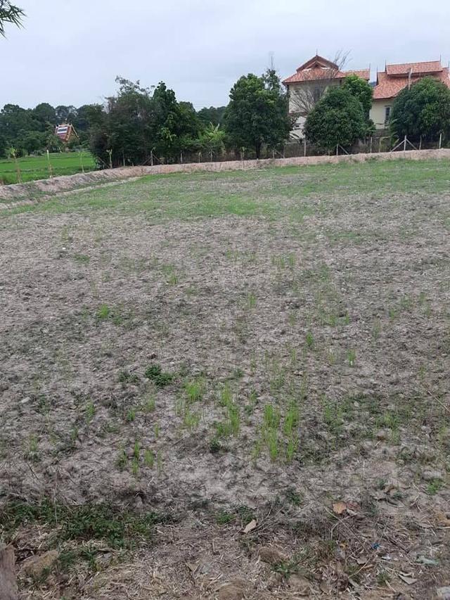 ขายที่ดินเปล่า นครนายก อ.เมือง 1 ไร่ 3 งาน 58 ตร.ว. ทำเลดี ติดคลอง ราคา 1.9 ล้าน 9